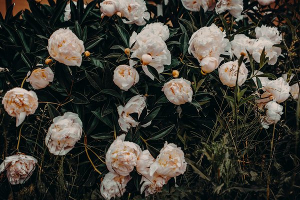 Les pièges à éviter absolument lors du déménagement de vos meubles