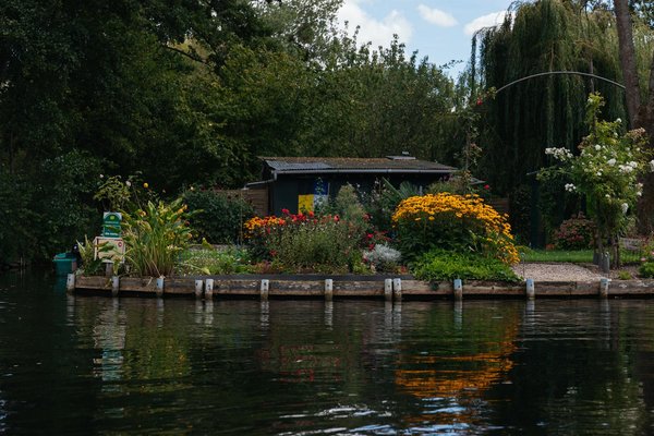 Comparison des meilleurs livres sur la déco zen